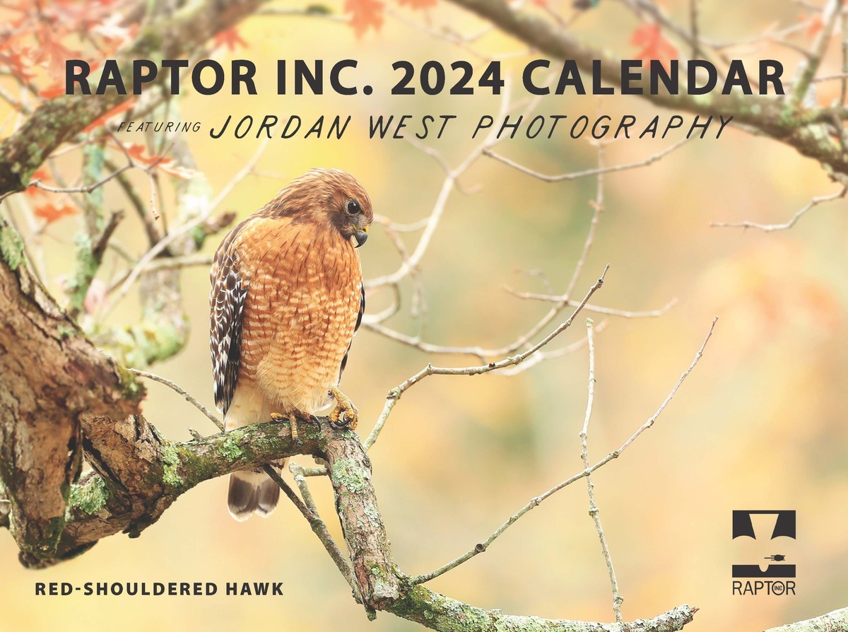 Raptor Inc. 2024 Calendar featuring Jordan West Photography with picture of Red-Shouldered Hawk